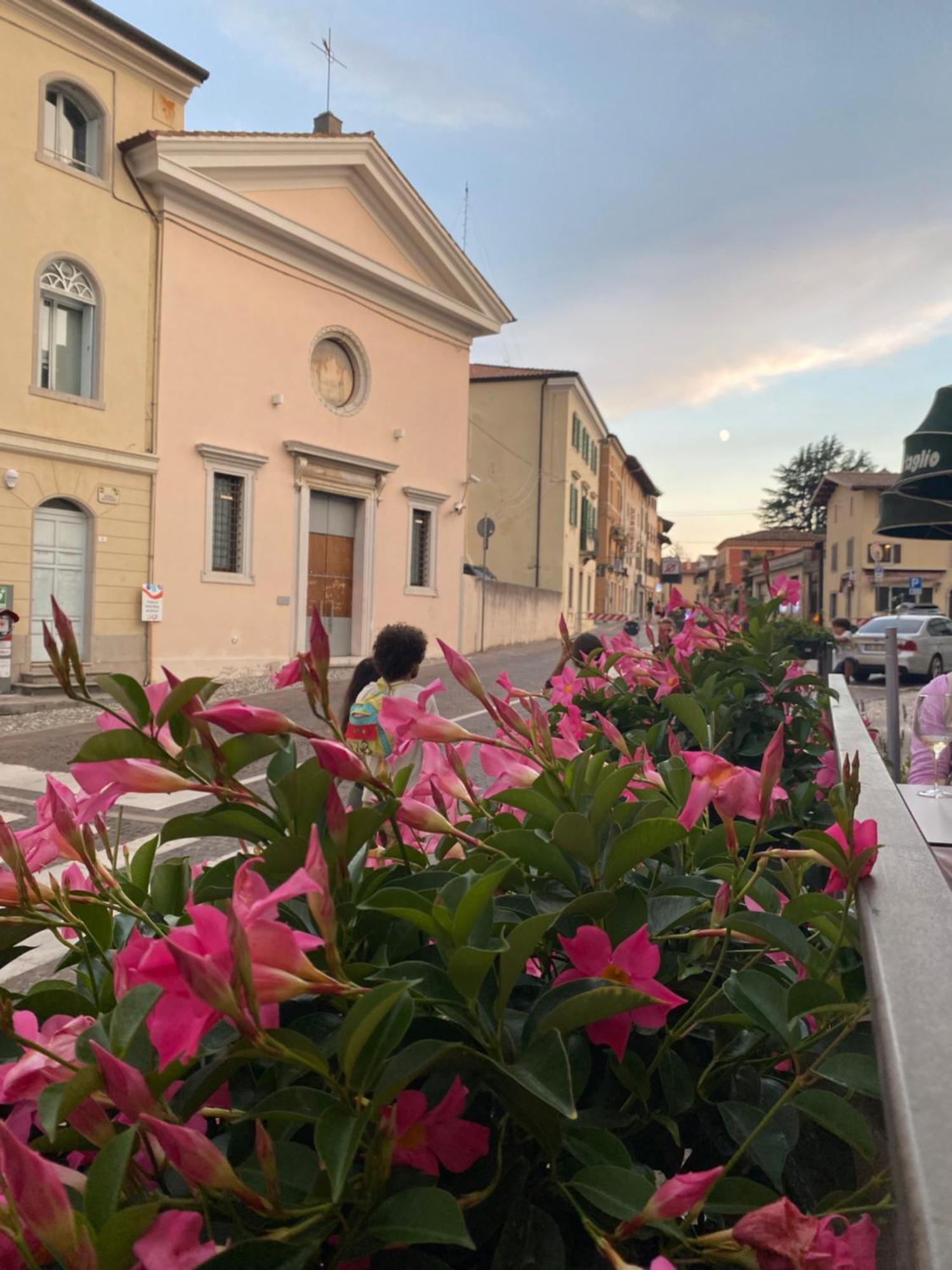 Il Riccio E Il Gufo Cepletischis Exterior foto