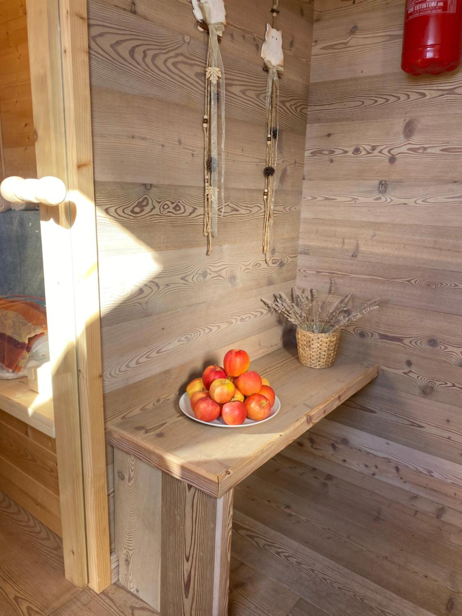 Il Riccio E Il Gufo Cepletischis Exterior foto