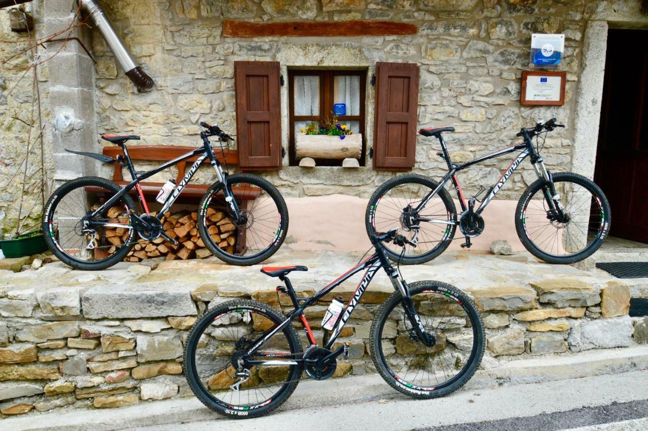 Il Riccio E Il Gufo Cepletischis Exterior foto